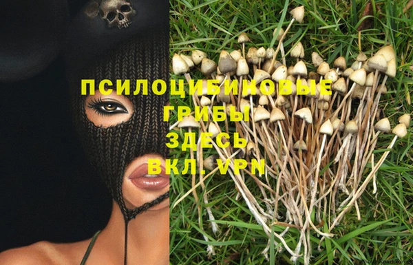 кокаин премиум Нязепетровск